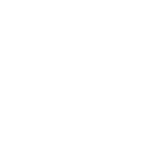 surf-logo-VAN_transparent-1-1